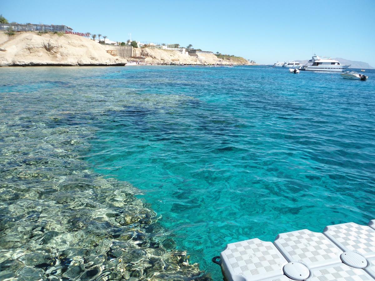Sharks Bay Oasis Apartment Sarm es-Sejk Kültér fotó