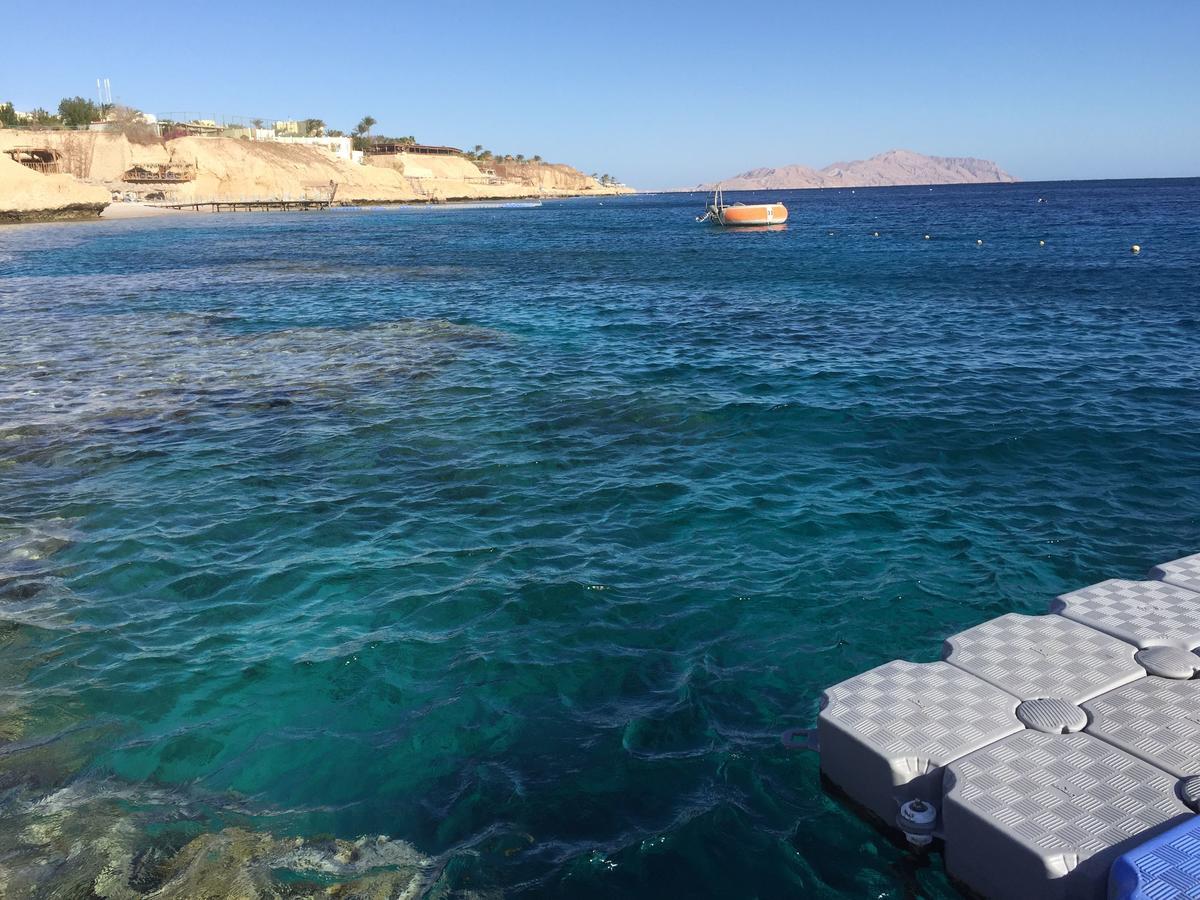 Sharks Bay Oasis Apartment Sarm es-Sejk Kültér fotó
