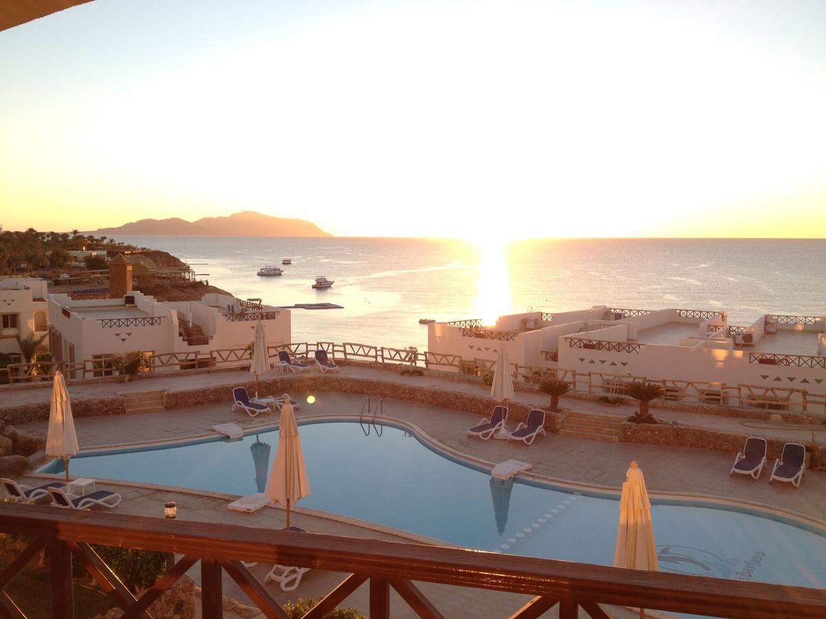 Sharks Bay Oasis Apartment Sarm es-Sejk Kültér fotó