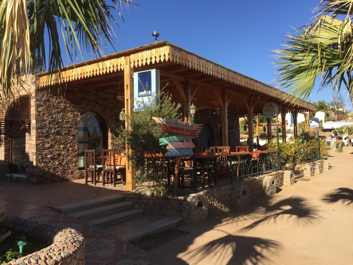 Sharks Bay Oasis Apartment Sarm es-Sejk Kültér fotó
